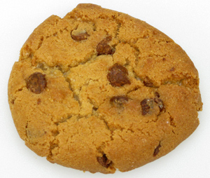 A chocolate chip cookie