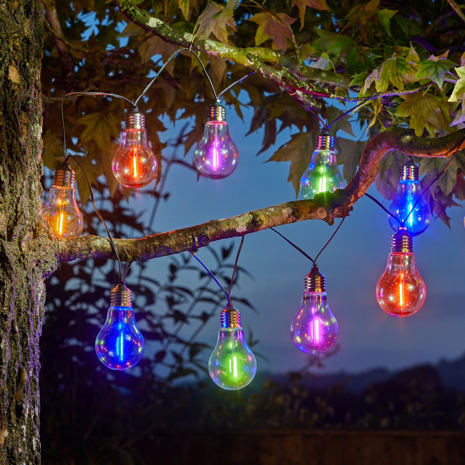 Vintage Bulb Neonesque Multi Coloured Fairy Lights