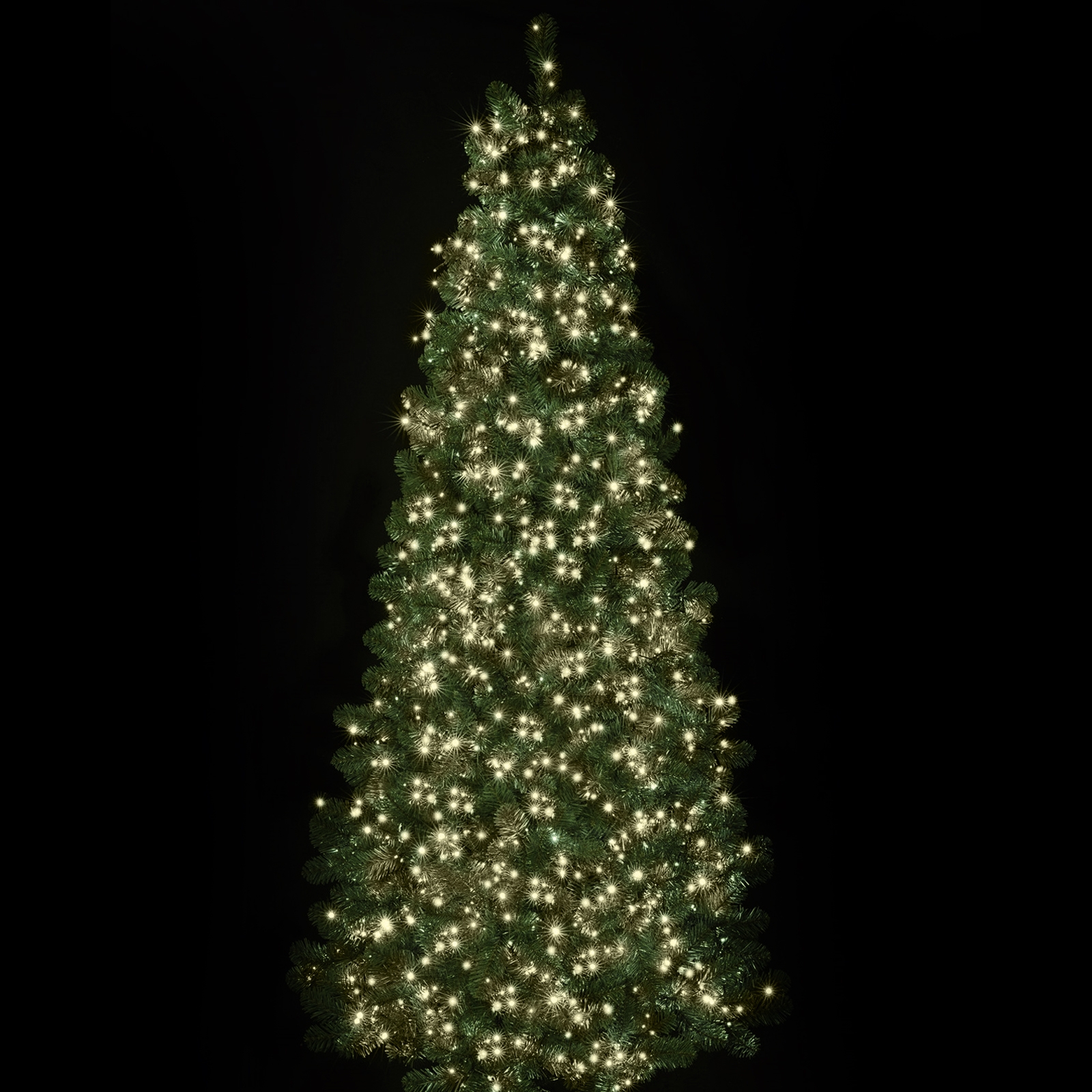 Image of 1500 Warm White Treebrights with Timer