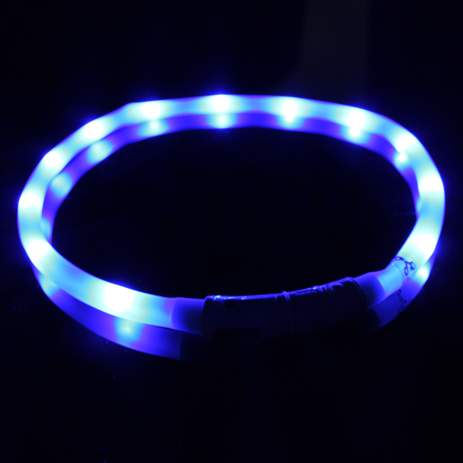 Click to view product details and reviews for Blue Rechargeable Flashing Band For Dogs.