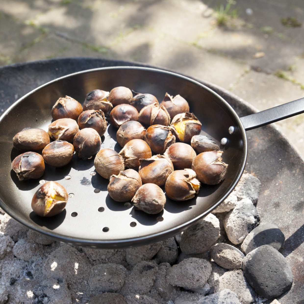 Click to view product details and reviews for Chestnut Roasting Pan.