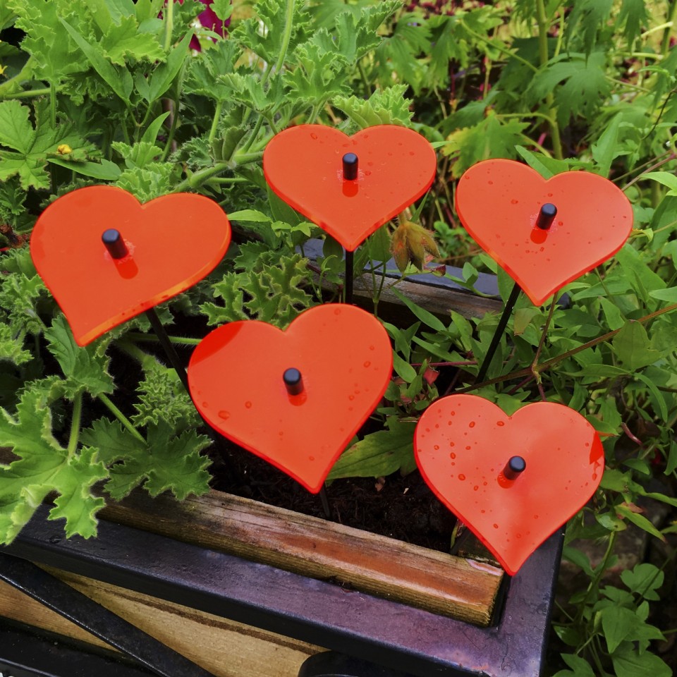  25cm Hearts Garden Stakes (5 Pack)