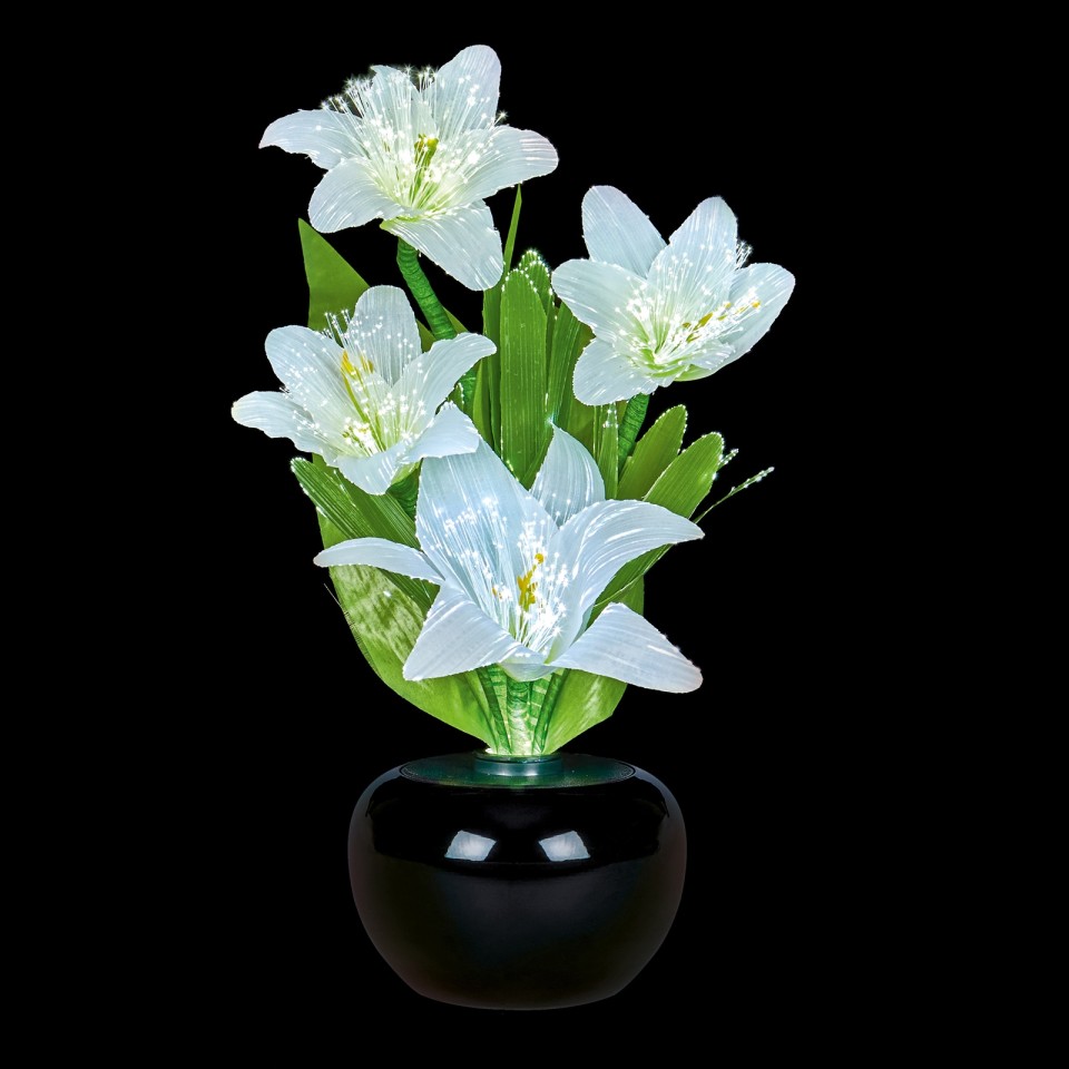  Fibre Optic Colour Change White Lilies 50cm Tall