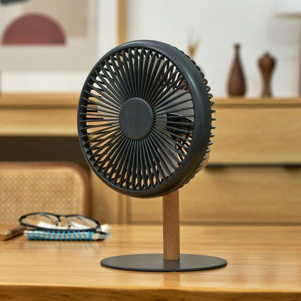  Portable Detachable Desk Fan with Light