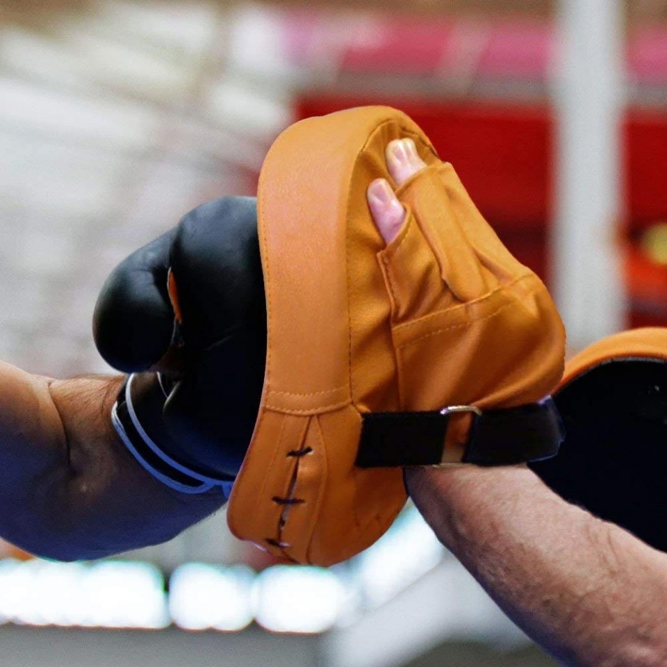  Boxing Pads - Focus Mitts