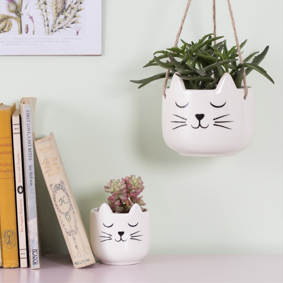  Cats Whiskers Mini Plant Pot & Hanging Planter
