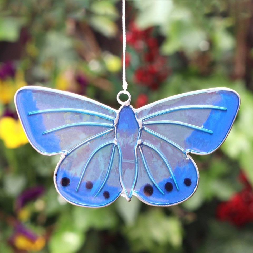  Chalkhill Blue Butterfly Sun Catcher