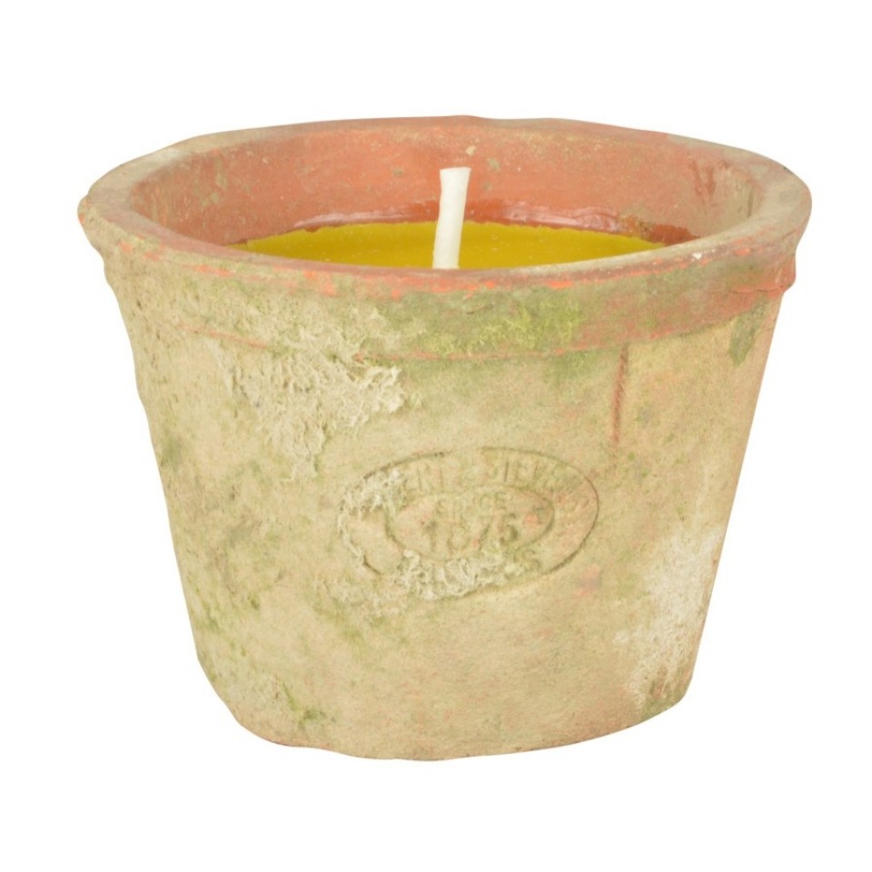  Citronella Candle in Terracotta Pot FF254