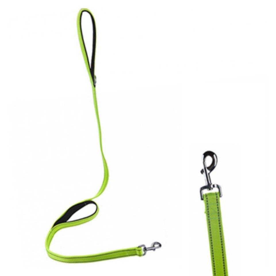 Dog Control Lead - Neon with Reflective Stitching