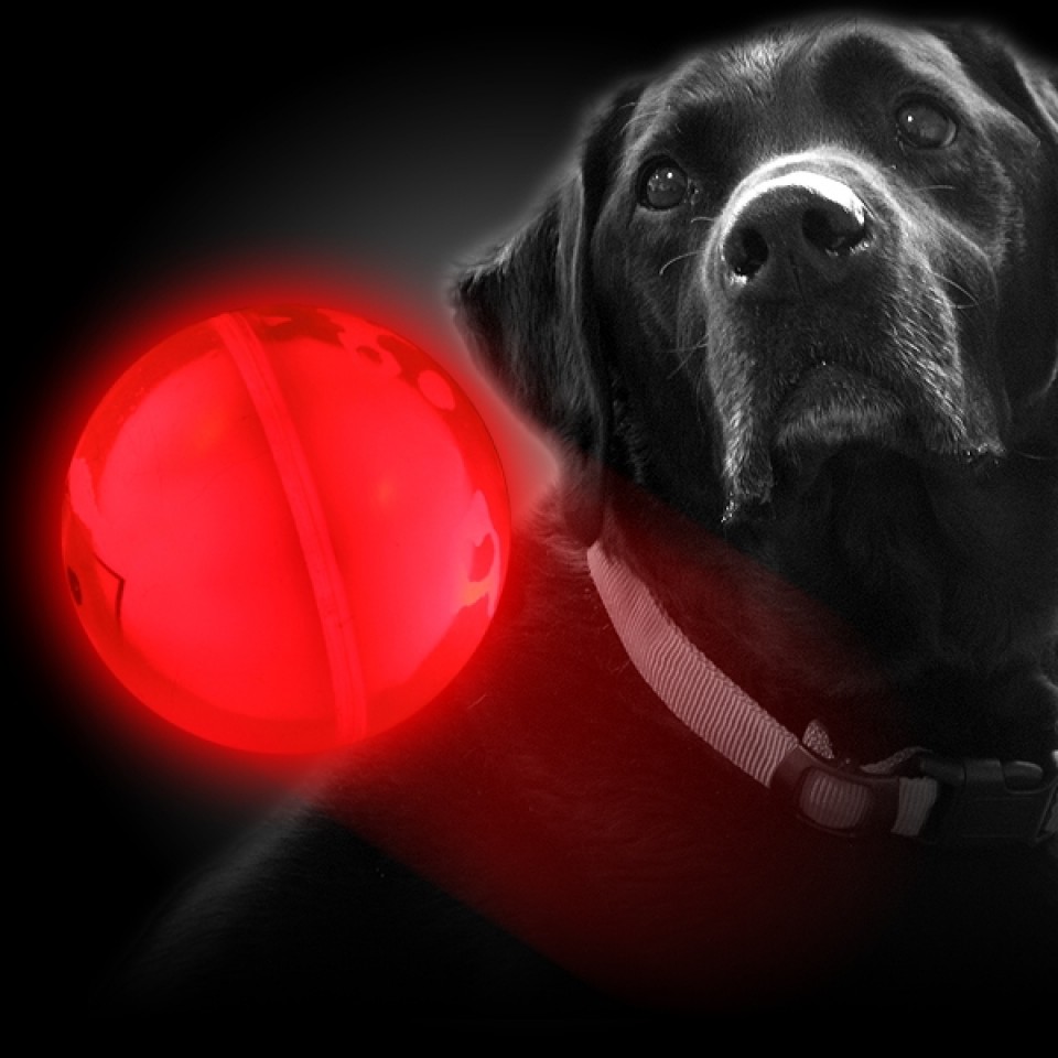 Dog Glow Smart Ball