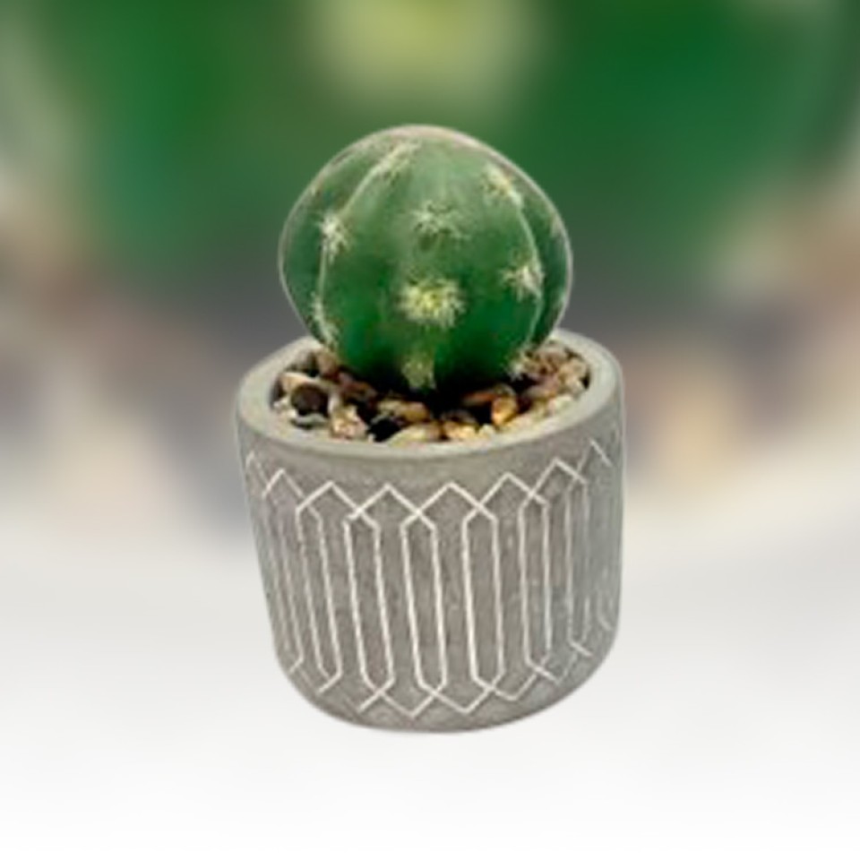  Faux Cactus in Cement Pot