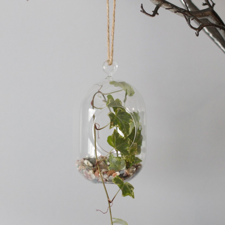  Hanging Oval Glass Terrarium