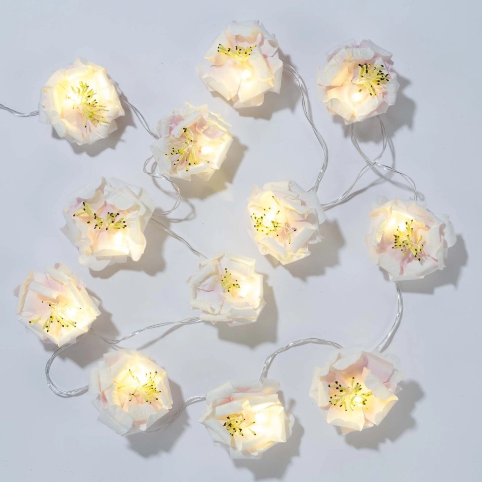  Blossom Flower 12 LED String lights - 2M 
