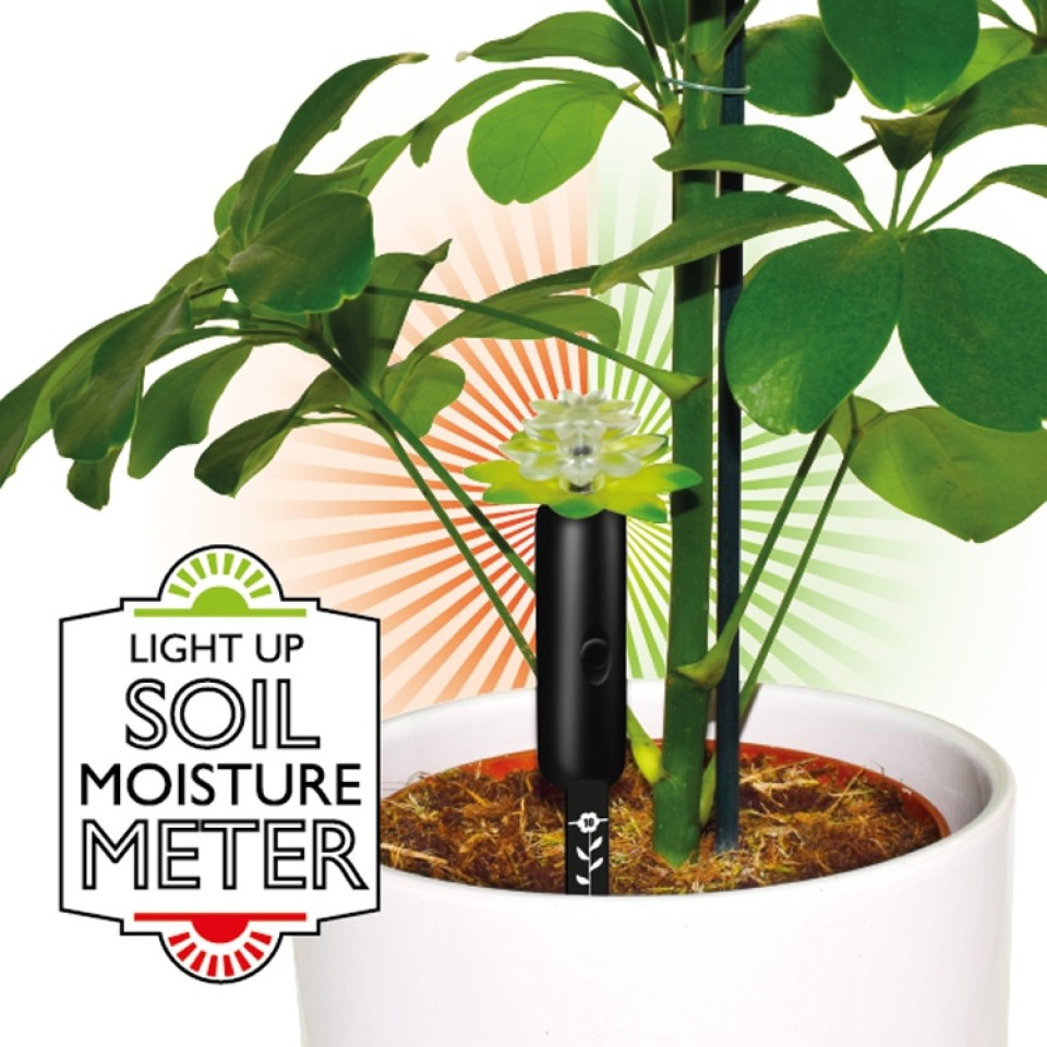  LED Light Up Plant Moisture Sensor