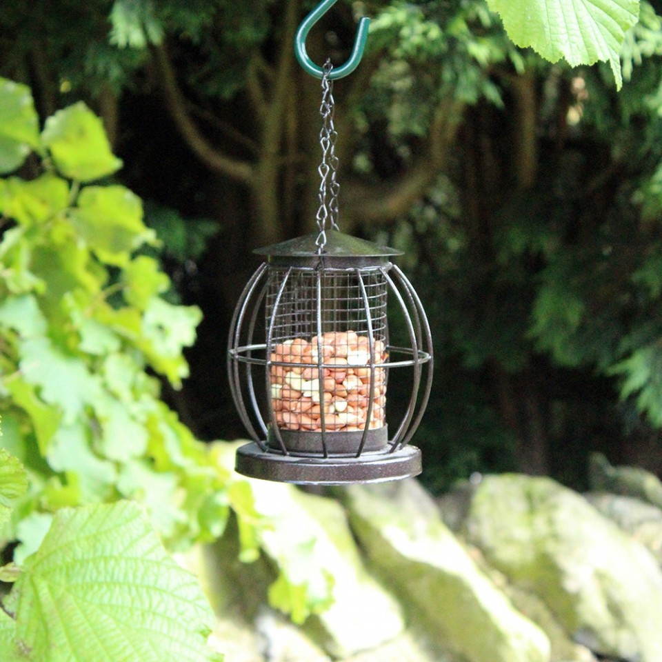  Mini Lantern Nut Bird Feeder