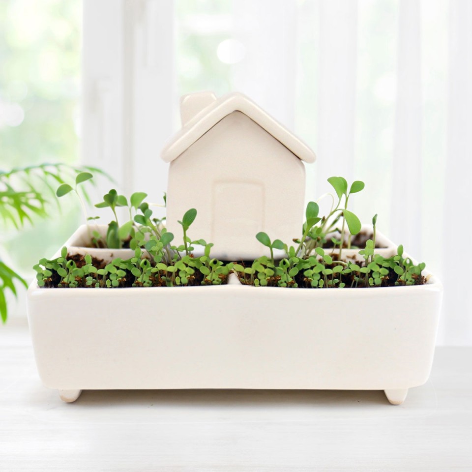  Self Watering House Herb Garden Grow Kit