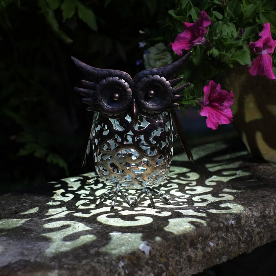  Solar Scroll Owl