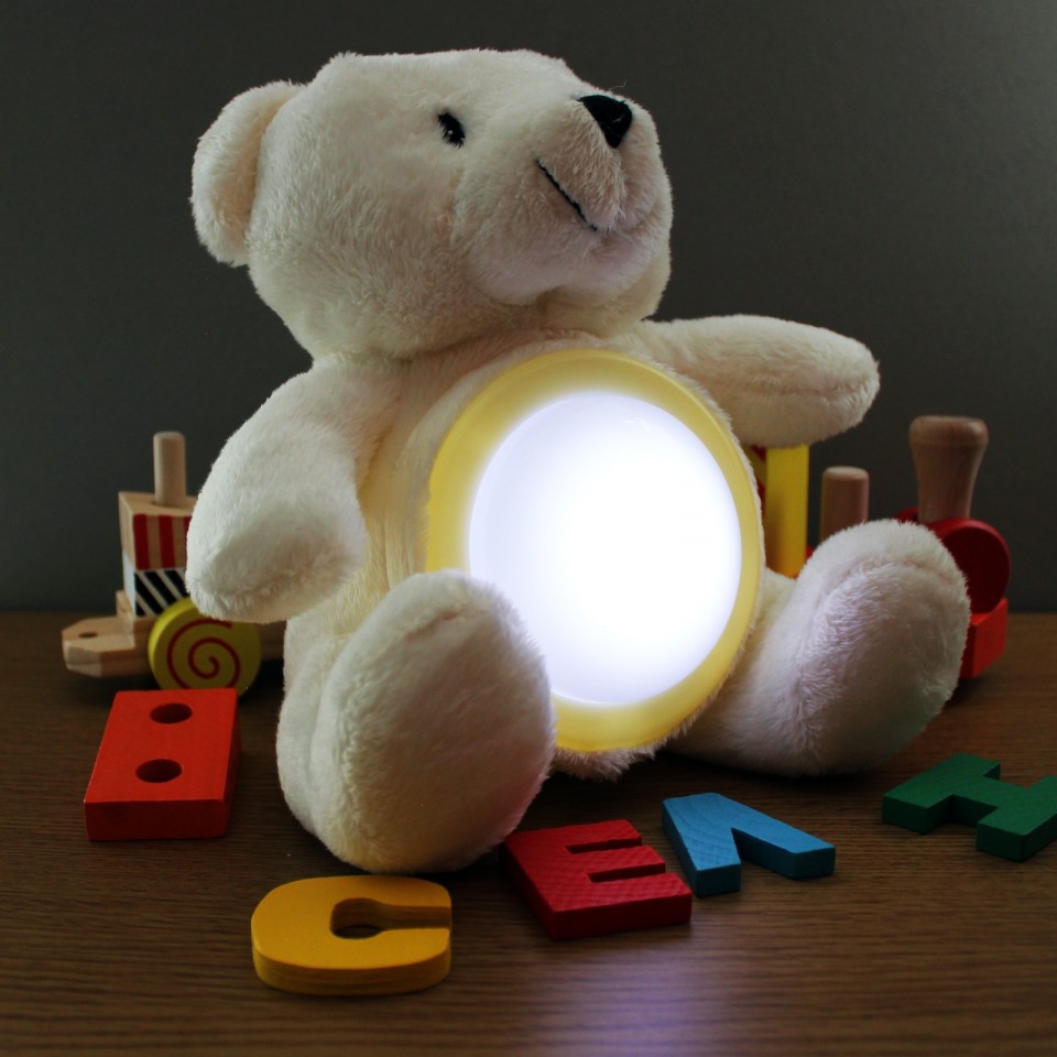  Glow Teddy