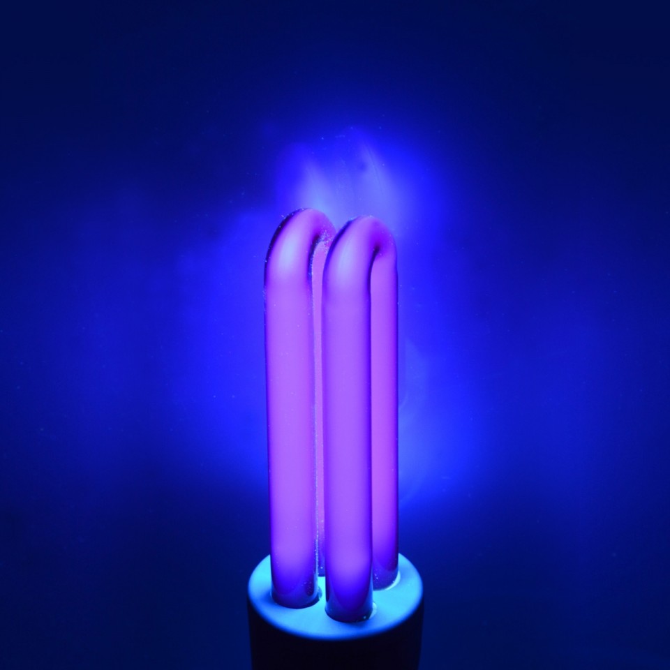 UV Black Light Bulb