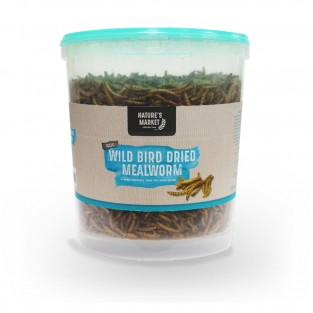 100g Tub Dried Mealworm Wild Bird Feed
