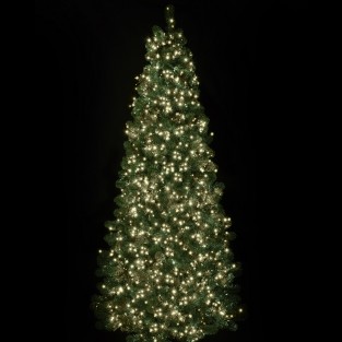 1500 Warm White Treebrights with Timer