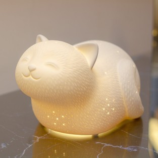 3D Ceramic Smiley Cat Lamp