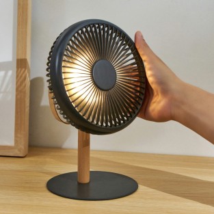 Portable Detachable Desk Fan with Light