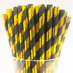 Black & Gold Biodegradable Paper Straws (25 pack)