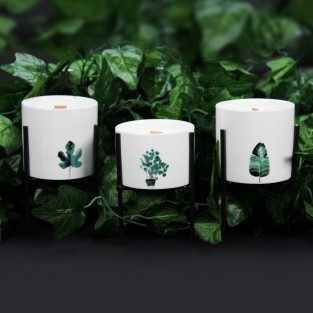 3 x Botanical Soy Candles with Wooden Wick