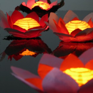 Floating Flower Water Lanterns