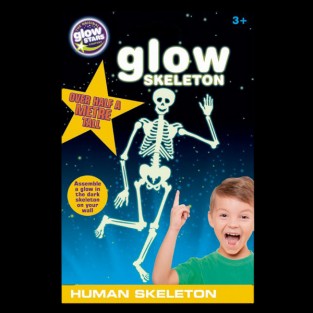 Glow Human Skeleton Sticker