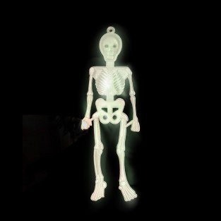 Skeletons Glow in the Dark - 16 Pack