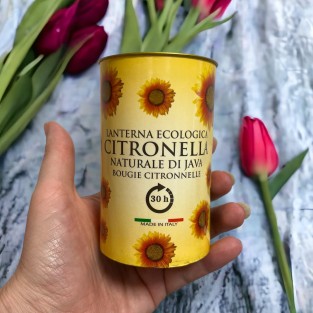 Citronella Fragranced Sunflower Lantern - 30hr