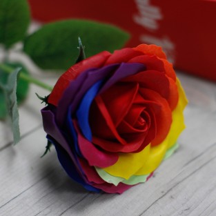 Rainbow Rose Soap in Presentation Box
