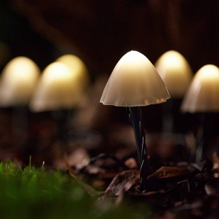 Forest Solar Mushroom Lights - 12 Pack