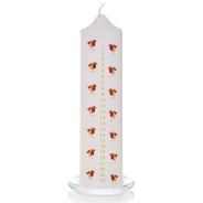 Robin Advent Pillar Candle & Glass Candle Plate 2 