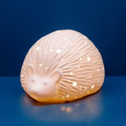 3D Ceramic Hedgehog Lamp 4 