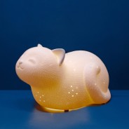 3D Ceramic Smiley Cat Lamp 4 