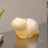 3D Ceramic Smiley Cat Lamp 2 