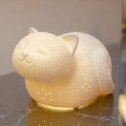 3D Ceramic Smiley Cat Lamp 1 