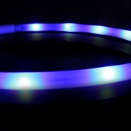Blue Rechargeable Flashing Band for Dogs 2 