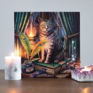 Light Up Picture Canvases by Lisa Parker 2 Book of Shadows