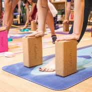 Eco Cork Yoga Brick 1 