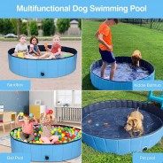 Crufts Dog Paddling Pool 2 