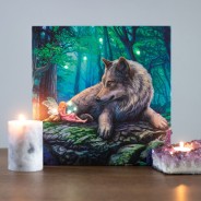 Light Up Picture Canvases by Lisa Parker 4 Fairy Stories