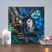 Light Up Picture Canvases by Lisa Parker 3 Fairy Tales