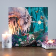 Light Up Picture Canvases by Lisa Parker 5 Fairy Whispers