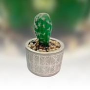 Faux Cactus in Cement Pot 2 