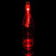 Colour Changing Fibre Optic Bottle Light 7 