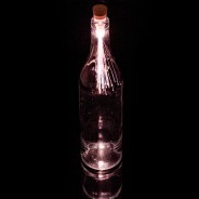 Colour Changing Fibre Optic Bottle Light 2 